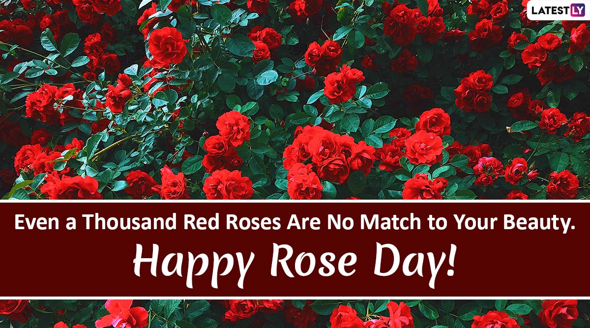 Happy Rose Day 2020 Wishes and Messages: WhatsApp Stickers, Rose GIF ...