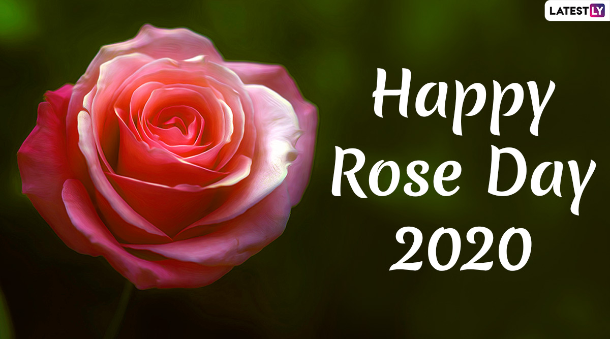 Happy Rose Day 2020 Images & HD Wallpapers For Free Download ...