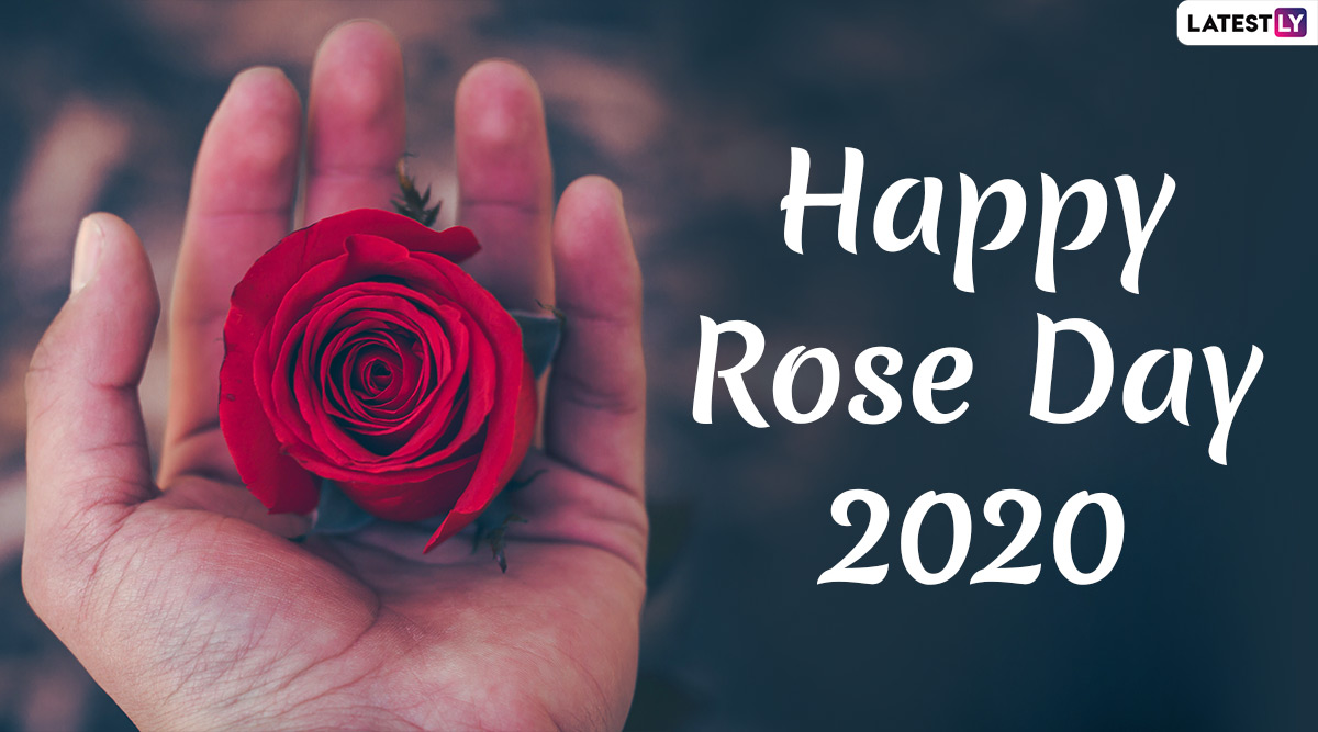 Happy Rose Day 2020 Images & HD Wallpapers For Free Download Online: Wish  on First Day of Valentine Week With WhatsApp Stickers and Greetings | 🙏🏻  LatestLY