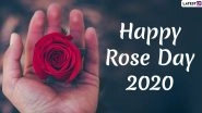 Rose Day Images & HD Wallpapers For Free Download Online: Wish Happy Rose Day 2020 With Beautiful Photos, WhatsApp Stickers and GIF Greetings