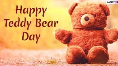 Teddy Day 2020 Wishes in Hindi With Romantic Shayari: WhatsApp Stickers, Facebook Greetings, GIF Images, SMS And Quotes to Send in Valentine Week