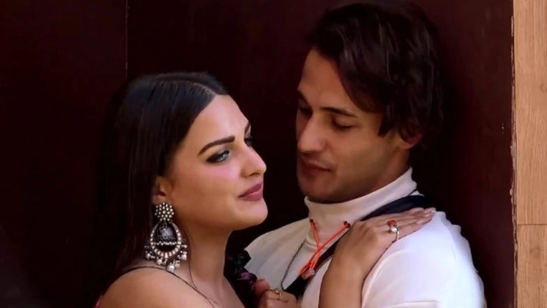 Asim Riaz Dedicates a Romantic Poem for His Lady Love Himanshi Khurana with an Adorable Pic