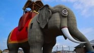 Giant Elephant Structure Lucy Opens for Rare Overnight Stays on New Jersey&rsquo;s Airbnb