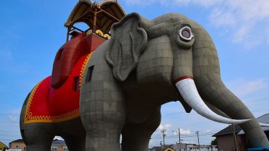 Giant Elephant Structure Lucy Opens for Rare Overnight Stays on New Jersey’s Airbnb