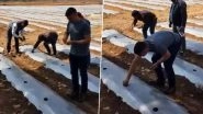 MS Dhoni Turns Farmer Ahead of IPL 2020 Comeback, Ploughs Seeds of Papaya and Watermelon in the Field (Watch Video)