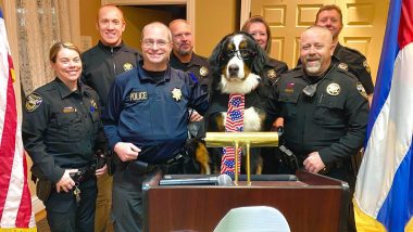 Parker, The Snow Dog Elected as The Honorary Mayor of Georgetown in Colorado (See Pictures)