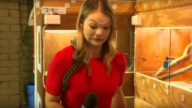 Snake Strikes Australian Reporter's Mic Multiple Times During Safety Video (Watch Video)