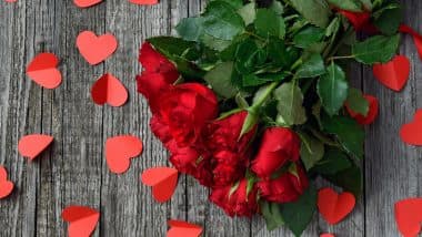 Rose Day 2020 Date, Significance and Meaning: Know What Each Colour of Rose Signify and Celebrations Associated to the First Day of Valentine Week