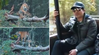 Sachin Tendulkar Shares Video From Visit to Tadoba Andhari Tiger Reserve, Says 'It Was a Majestic Sight'