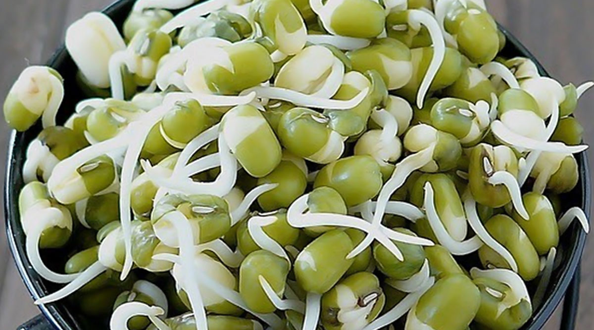 Sprouts For Weight Loss All That You Should Know About Sprouting Of 