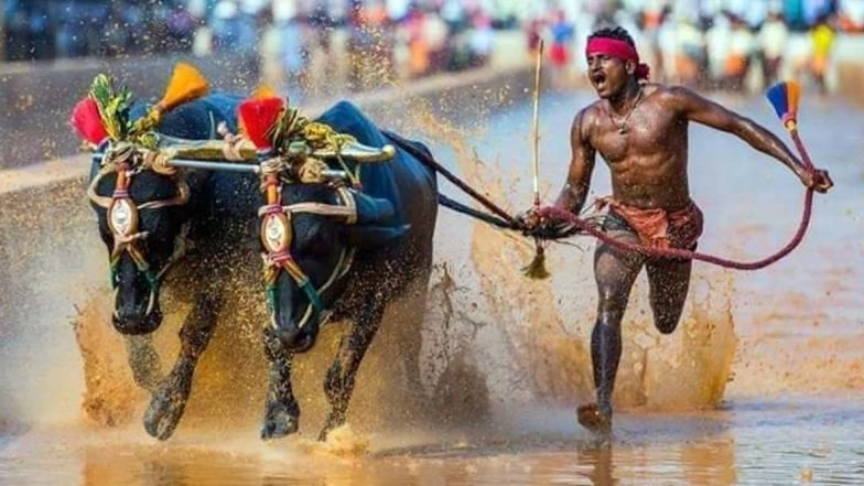 Sports Minister Kiren Rijiju Calls Fastest Kambala Jockey Srinivasa Gowda for Trial Under Top Coaches