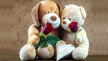 in which day teddy day