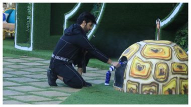 Bigg Boss 13 Day 129 Highlights: Paras Chhabra Ruins Task For Shehnaaz Gill and Arti Singh