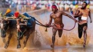 Srinivasa Gowda Photoshopped Running Along With Usain Bolt by Artist Krishna Is Unmissable! Kambala Buffalo Jockey Becomes New Meme Material