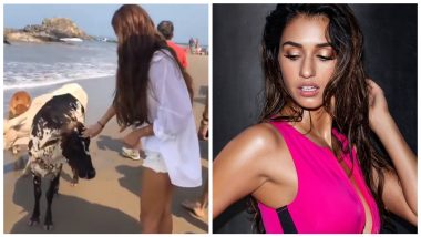 Disha Patani Shares a Beachy Post And It Is Not What You'd Expect (Watch Video)