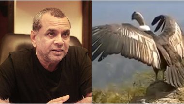 Paresh Rawal Falls for the Viral Video Claiming ‘Jatayu’ Bird From Ramayana Is Seen in Kerala; Here’s the Truth!