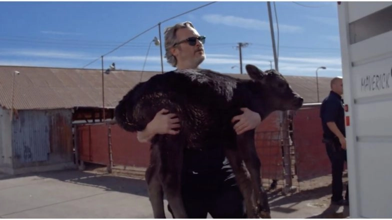 Joaquin Phoenix Rescues a Cow and her Calf from a Slaughterhouse, Just Two Days after his Oscar 2020 Win