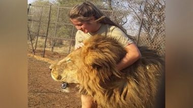 South Africa: 21-Year-Old Woman Mauled to Death at Safari Park by Pack of Lions