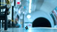 Wildlife Photographer of the Year: Sam Rowley&rsquo;s Picture of Two Mice Fighting Over Leftover Food on London Subway Wins