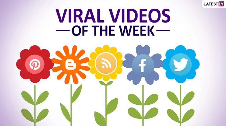 Watch the 7 Viral Videos of the Week that Gripped the Netizens 