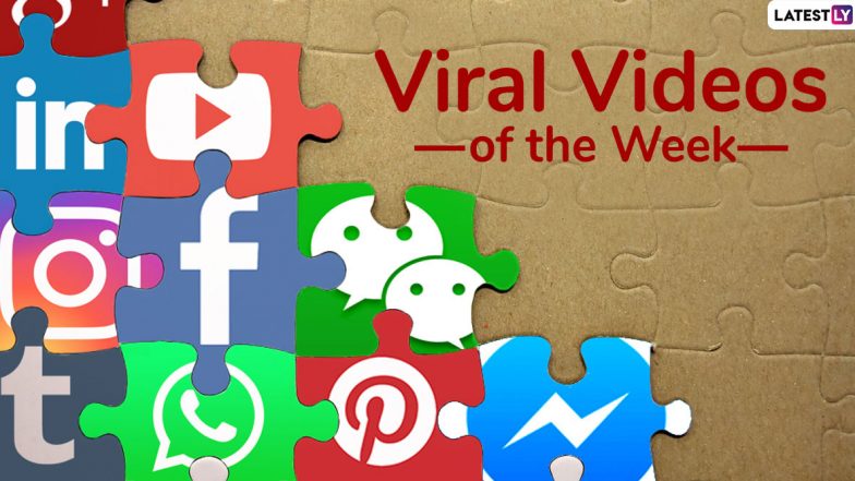 Viral Videos of the Week: From Broom Challenge to Wendy’s Employee Taking Bath in Kitchen Sink, Watch 7 Clips That Were Insanely Shared on Internet