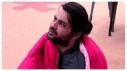 Bigg Boss 13 Evictions: Vishal Aditya Singh Bids Adieu To The House