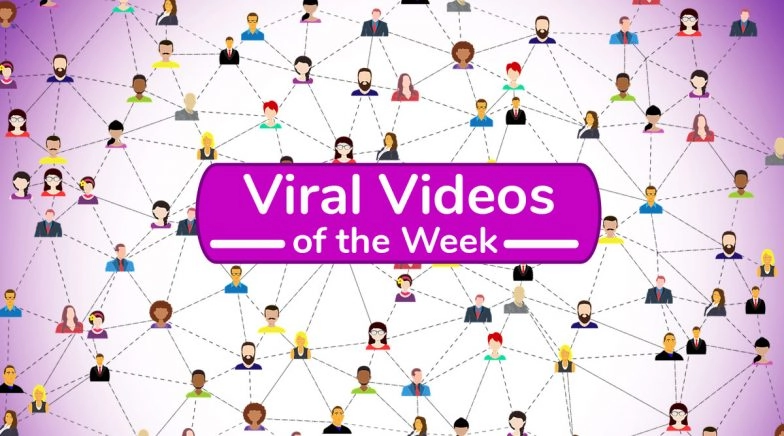 7 Viral Videos That the Internet Couldn't Stop Watching 