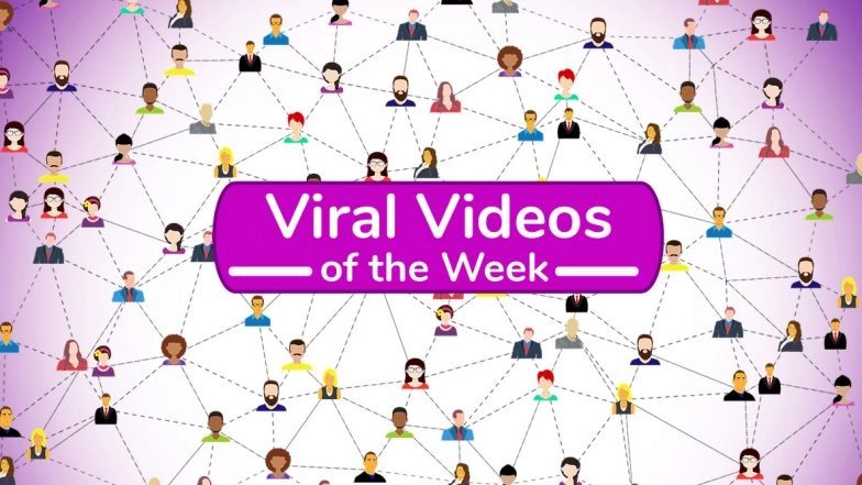 Viral Videos of the Week: From Wuhan’s Pool Party to Lightning Strike Causing Wildfires in California, These 7 Videos Stunned Social Media Users