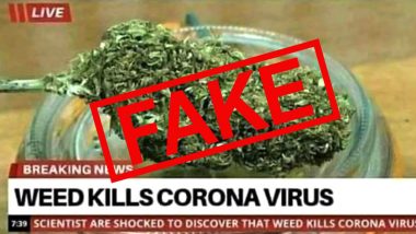 Weed Cures Coronavirus? Filmmaker's Tweet on Cannabis Being a Medicine to Deadly Disease is a Meme, Check WHO's List of Fact Checks on Cure and Treatment