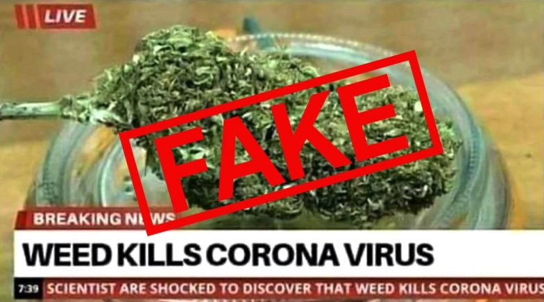 Image Claiming Weed Cures Coronavirus is a Meme