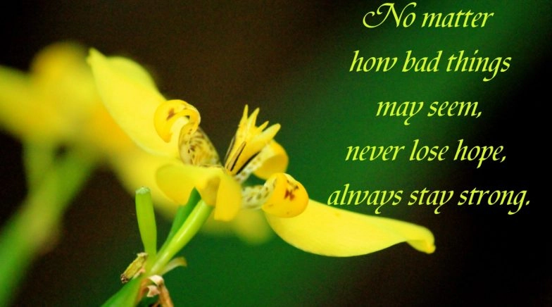 Don't Lose Hope! Uplifting Messages, Quotes and Poems To Spread Positivity