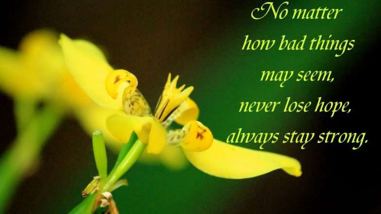 Don't Lose Hope! Uplifting Messages, Quotes and Poems To Spread Positivity During the Coronavirus Outbreak