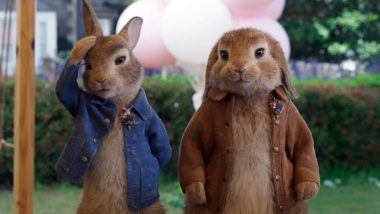 James Corden’s Peter Rabbit 2 Release Date Postponed Due to Coronavirus Scare