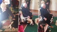 President Michael D Higgins' Dog, Br&oacute;d, Takes over the Internet After Crashing Prince William and Kate Middleton's Visit to &Aacute;ras