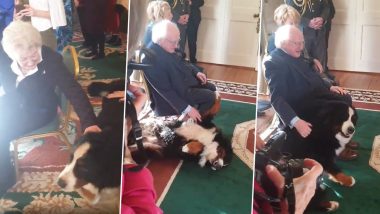 President Michael D Higgins' Dog, Bród, Takes over the Internet After Crashing Prince William and Kate Middleton's Visit to Áras