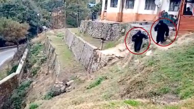 ITBP Jawans Adopt Unique Method to Fight Monkey Menace in Uttarakhand, Dress as Bears to Scare Away Simians - Watch Video