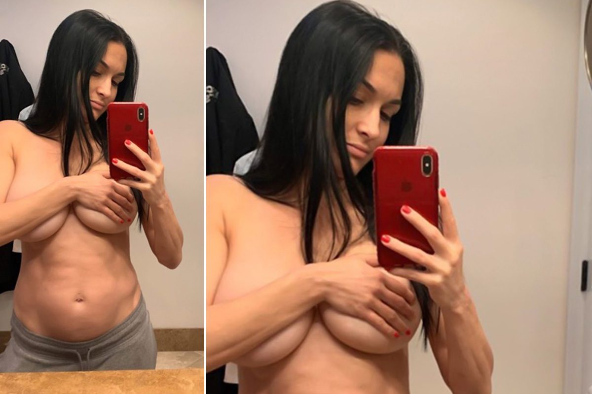 Nikki Bella posts topless selfie (Photo Credits: Instagram Stories). 