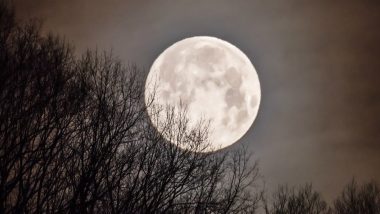 March Full Worm Supermoon 2020 Pics And Videos Go Viral On Twitter! Check Out The Best Ones