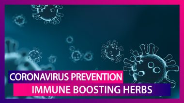 Coronavirus Prevention: Antivirals & Herbs To Boost Immunity And Combat COVID-19