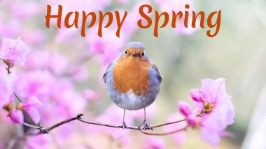 Happy Spring 2020 Wishes & Images! Twitterati Shares Beautiful Pics, Greetings, and Messages on the Onset of Spring Season