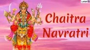 Chaitra Navratri 2020 Dos and Don'ts: 10 Important Things to Keep in Mind During Nine-Night Festival to Seek Blessings From Maa Durga