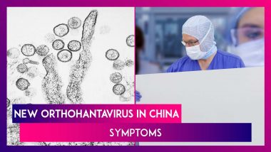 Hantavirus Appears In China Amid COVID-19 Pandemic, Here Are The Symptoms Of The Deadly Disease