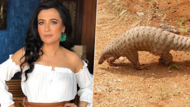 Coronavirus Scare: Mini Mathur Shares Best News Ever From China That Will Comfort You!