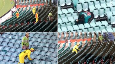 Fans Troll Australia, New Zealand Players After Cricketers Are Forced to Fetch Ball From Stands Every Time a Boundary Is Hit During AUS vs NZ 1st ODI Match (See Funny Reactions)