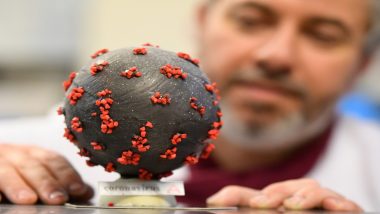 Edible 'Coronavirus'! French Pastry Chef Makes Chocolates Designed Like COVID-19 For Easter 2020 (View Pics and Video)