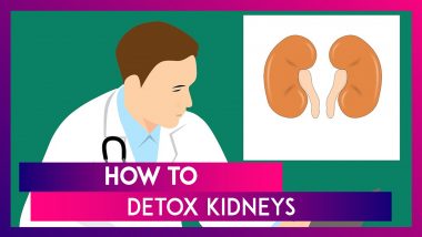 World Kidney Day 2020: How To Do A Kidney Detox? Sample Diet Plan To Clean Your Organ Effectively