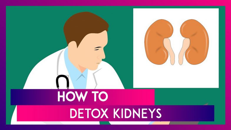 World Kidney Day 2020: How To Do A Kidney Detox? Sample Diet Plan To Clean Your Organ Effectively