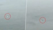 Dolphins Spotted Off Mumbai Coast Again Amid Nationwide Lockdown Due to Coronavirus (Watch Video)