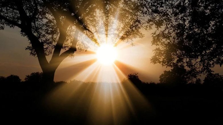 Spring Equinox 2020 Date, The Earliest First Day of Spring in 124 Years; Know Everything About This Vernal March Equinox