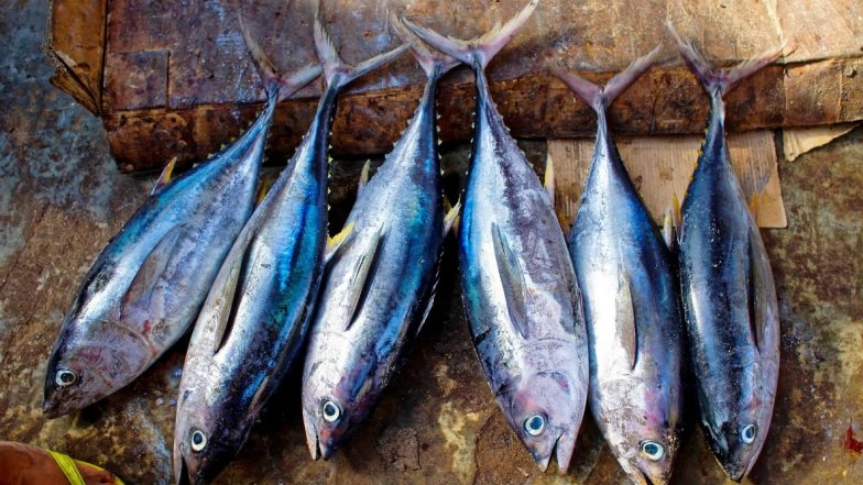 Tamil Nadu Government launches Meengal Mobile App for Home Delivery of Fish in Chennai Amid Coronavirus Lockdown